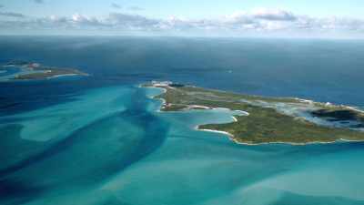 Six or eight weeks out, - Fyre