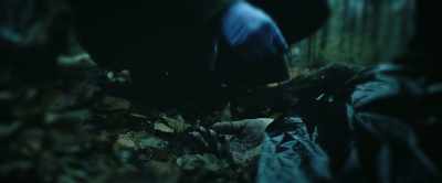 Six mysterious deaths
in under 48 hours. - Tarot