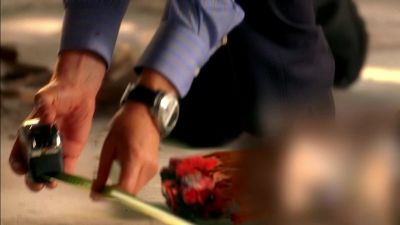 Six,on the nose. - CSI: Miami