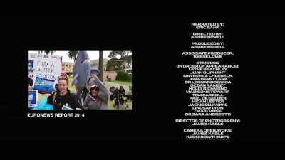 Six people have been
killed by sharks - Envoy: Shark Cull