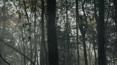 Skarpe skytter! I træerne! Der! - Love, Courage and the Battle of Bushy Run