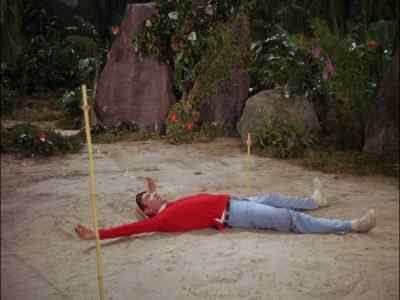 - Skipper!
- Look out, Ginger! - Gilligan's Island