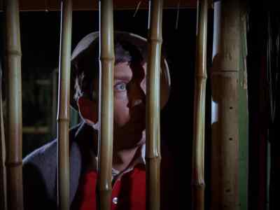 SKIPPER, WAKE UP!
SKIPPER, WAKE UP! - Gilligan's Island