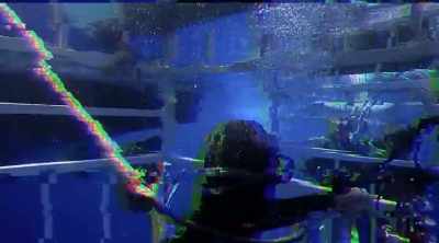 SKOMAL: What's happened here is
as it accelerates toward that box, - Shark Attack Files