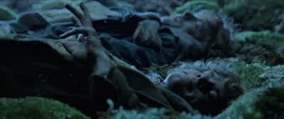 Sleep till morning light. - The Lord of the Rings: The Two Towers