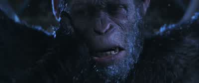 Sleep. You cannot save them. Apes all die here. - War for the Planet of the Apes