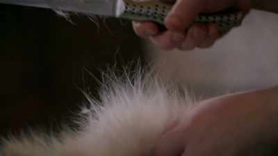 Slippers are so soft and cozy,
and it makes me really excited - Life Below Zero: Next Generation