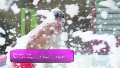 # Slippin' and slidin',
peepin' and hidin' - Love Island