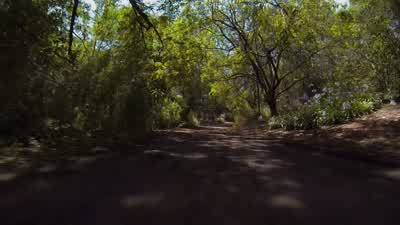 Slow down! - Marvel's Agents of S.H.I.E.L.D.
