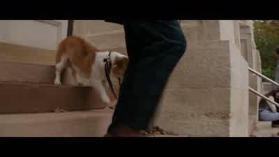 Slow down Slow downMy legs are barely even legs - A Dog's Purpose