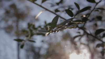 (slow pensive music) - Once is Enough