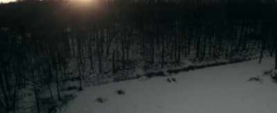 Small enough that I
can keep my eye on you - The Survivalist