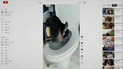 Smart or not,
all dogs do some unusual things. - Inside the Mind of a Dog