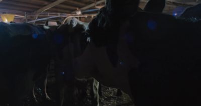 ...Smart speaker. - Cow