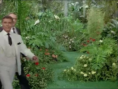 Smiles everyone Smiles - Fantasy Island