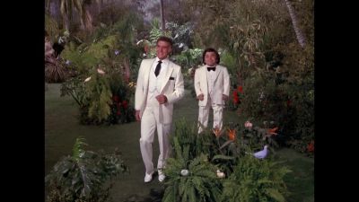 Smiles everyone Smiles - Fantasy Island