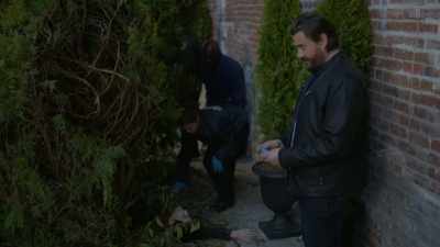 Smith, why don't you take
Miss Teagarden - Aurora Teagarden Mysteries: Something New