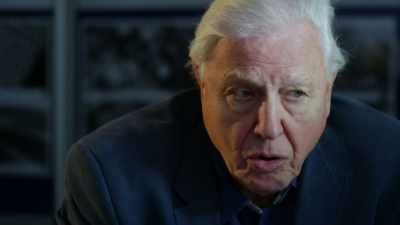 SMITHWICK: It is, and
it can tell us a huge amount - Attenborough and the Sea Dragon