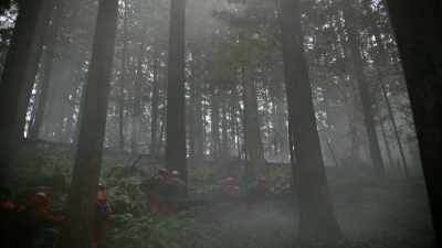 Smoke going in my lungs, - Fire Country