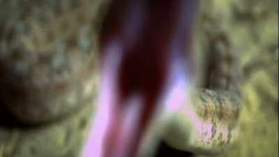 (snake hissing) - The UnBelievable with Dan Aykroyd