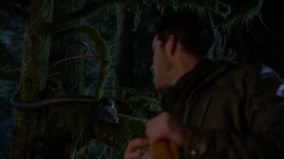 [ Snake hissing ] - Once Upon a Time