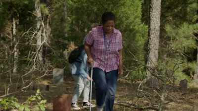 Snakes don't really hide in any trees. - The Immortal Life of Henrietta Lacks