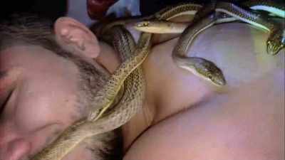 (snakes hissing) - The UnBelievable with Dan Aykroyd