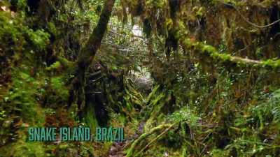 (snakes hissing)
(tense music) - The UnBelievable with Dan Aykroyd
