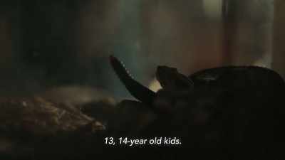 (SNAKES RATTLING, HISSING) - Alabama Snake