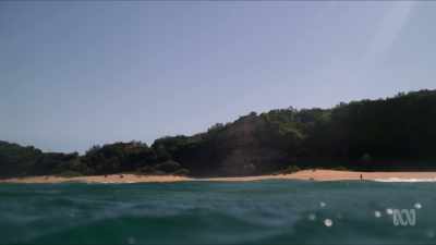 SNAPPER: How many people you reckon
we could fit on that beach? - Barons