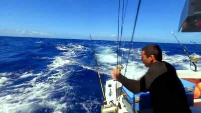[snaps] - Deadliest Catch: Bloodline