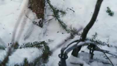 (snaps) - Life Below Zero: First Alaskans