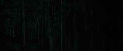 (Snarling in distance) - Wolf Man