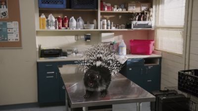 - [ snarling ] - Zoombies 2