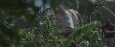 [snarling] - The Bayou