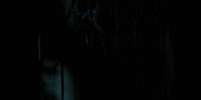 [snarling] - The Watchers