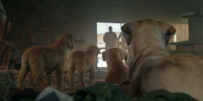 [snarling] - Clifford the Big Red Dog