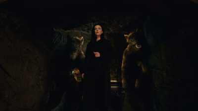 [SNARLING] - The Order