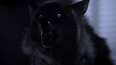 (snarling) - Teen Wolf