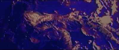 [snarling] - Tank Girl