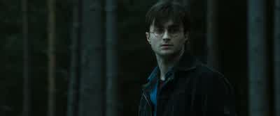 Hello beautifulWell don't hang about snatch them - Harry Potter and the Deathly Hallows: Part 1