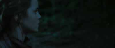 Snatchers. - Harry Potter and the Deathly Hallows: Part 1