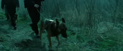 MAN: Hold up. - Twilight