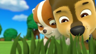 (Sniffing) - PAW Patrol