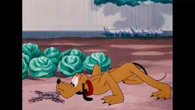 [sniffing] - Bone Bandit