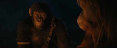 - [sniffs]
- [coughs, sucks teeth] - Kingdom of the Planet of the Apes