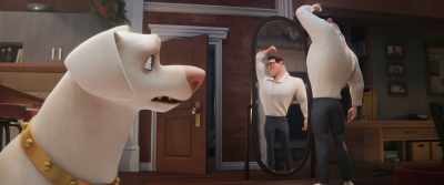[SNIFFS] - DC League of Super Pets