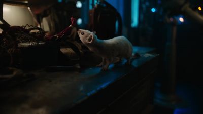 (SNIFFS) - His Dark Materials