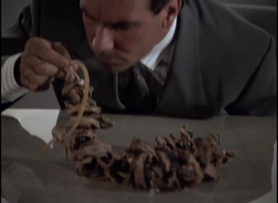 [Sniffs]
What are these? - Miami Vice