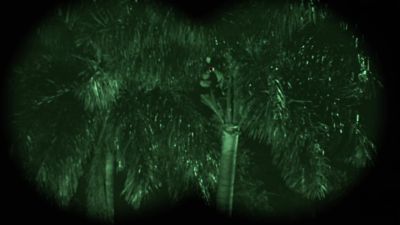 Sniper in the palm tree - The Substitute